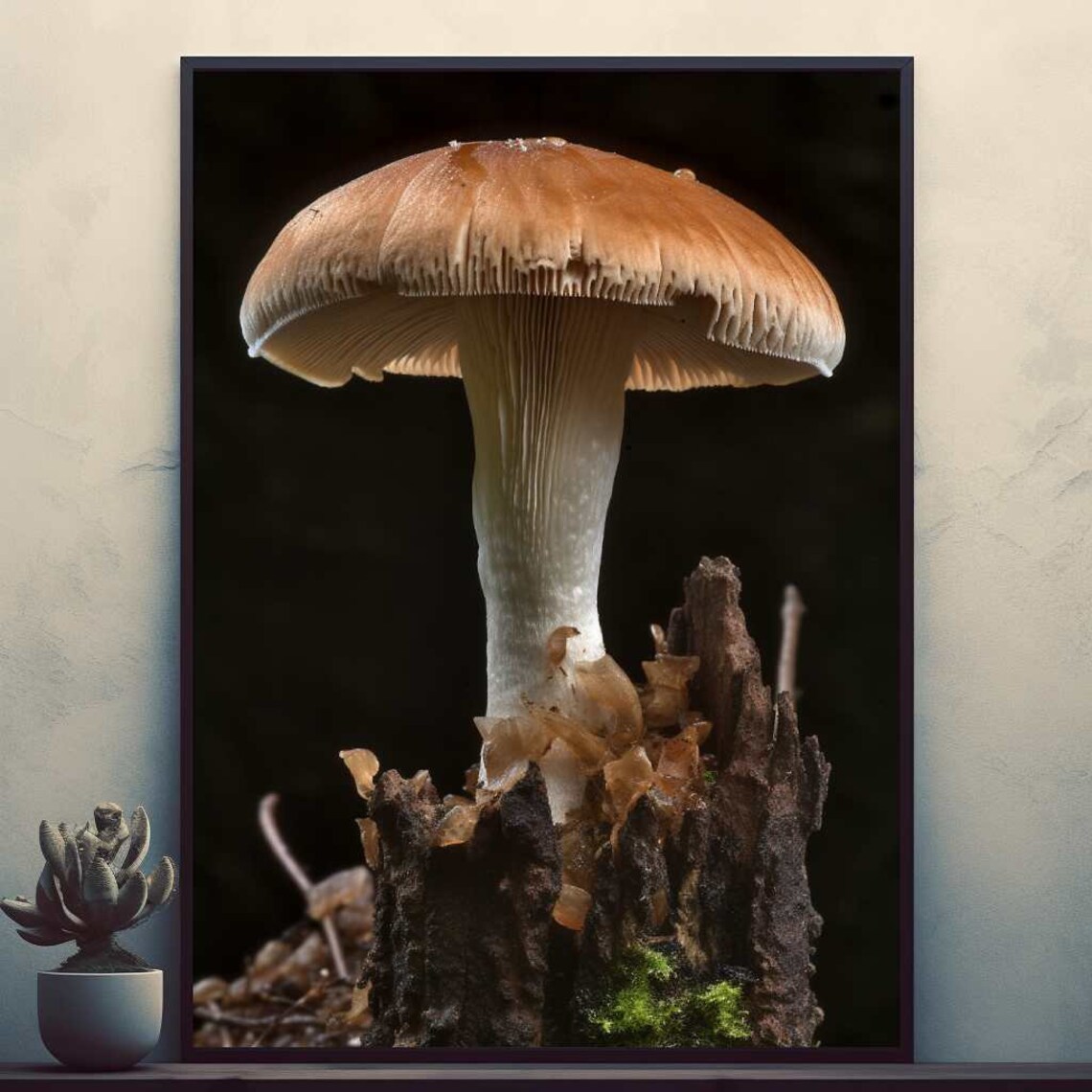 Mushroom Poster, Modern Home Room Bar Decor