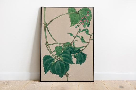 Japanese Plants and Frog, Vintage Art Deco Poster
