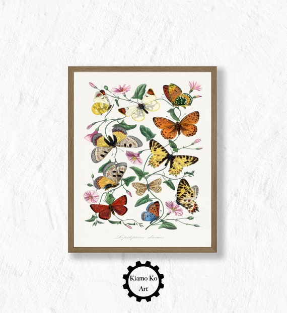 Spring Butterflies Art Work Vintage