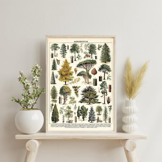 Tree Arboretum Art Decor Tree Arboretum Framed Art