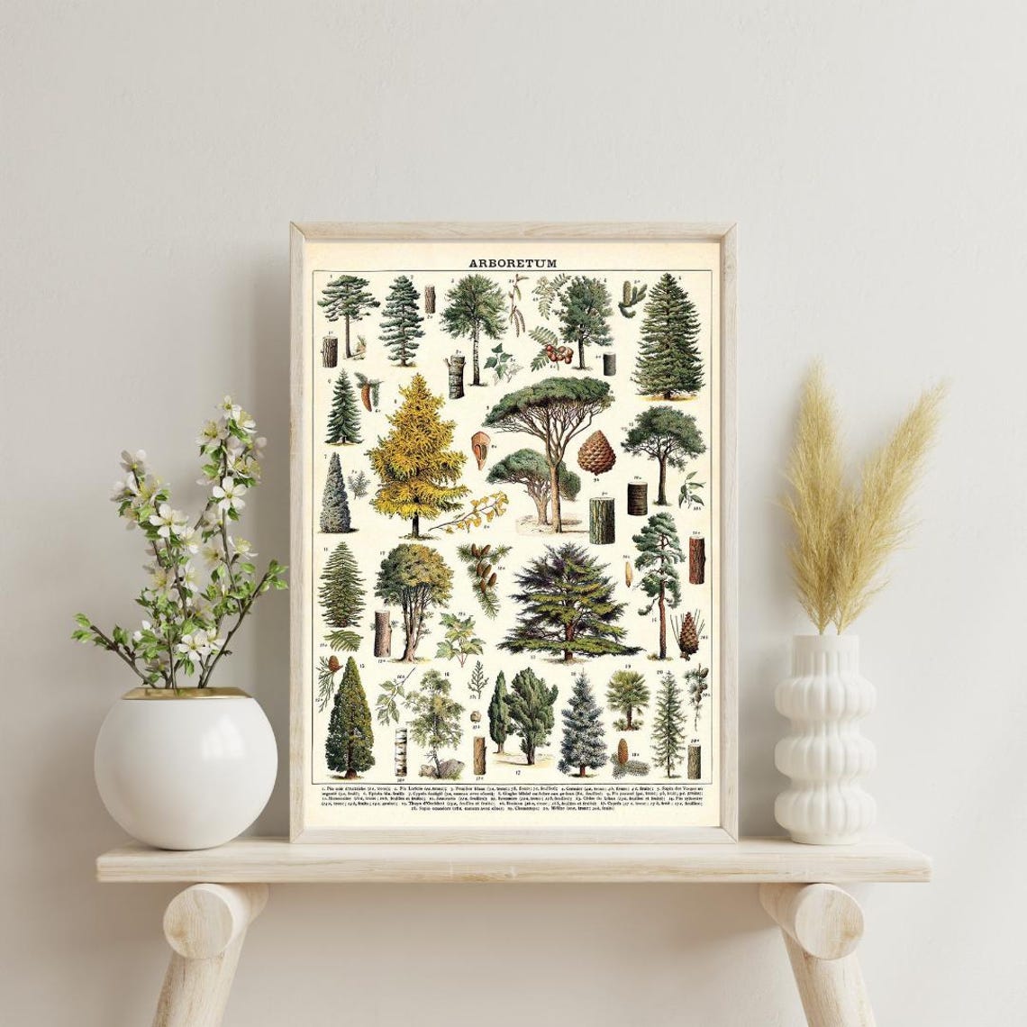 Tree Arboretum Art Decor Tree Arboretum Framed Art