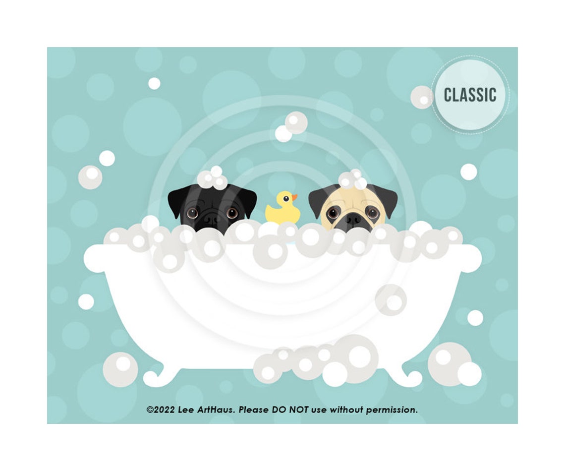 Two Pugs Black And Fawn Peeking Bubble Bath Teal Cute Dog Poster