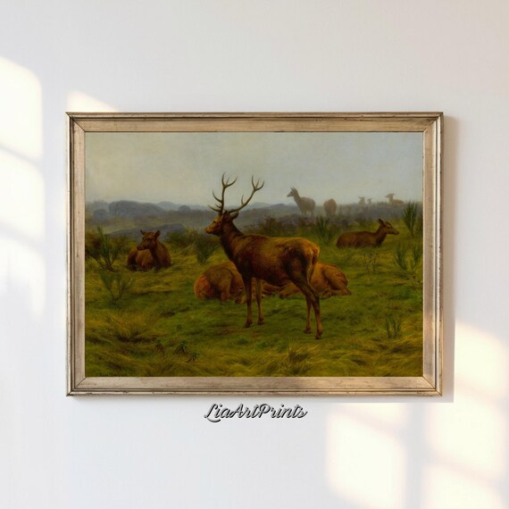 Majestic Stag Deer Herd Meadow Rustic Wildlife Painting Poster