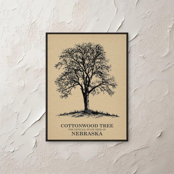 Cottonwood Tree Nebraska State Vintage Botanical Illustration Poster