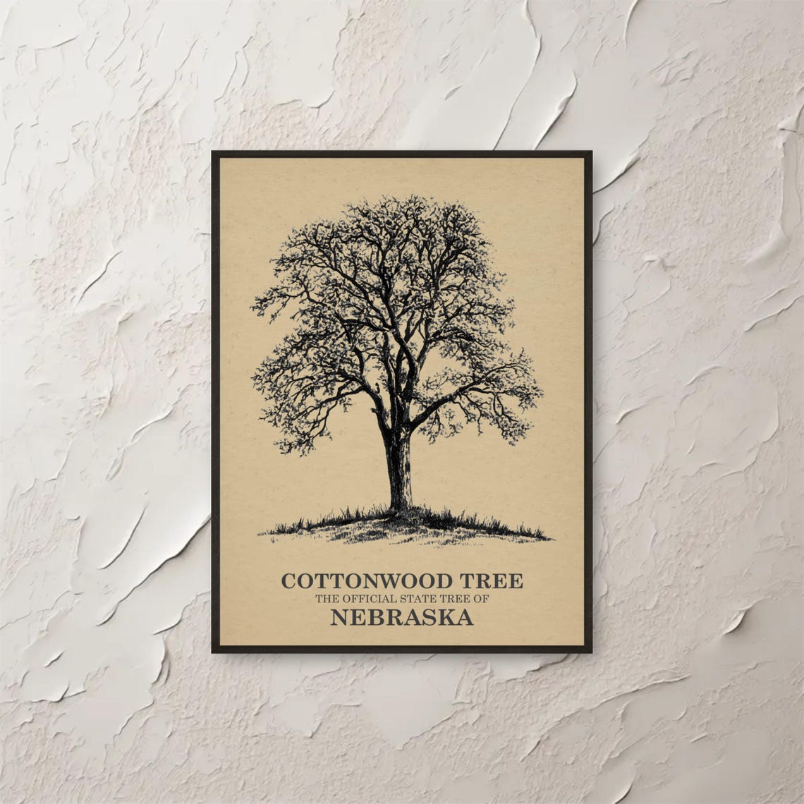 Cottonwood Tree Nebraska State Vintage Botanical Illustration Poster