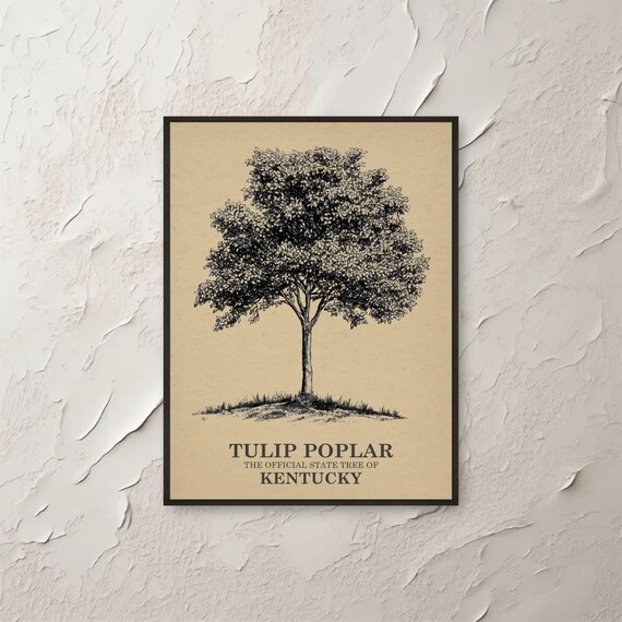 Tulip Poplar Kentucky Wall Art Botanical Print State Tree Artwork Vintage Nature Decor