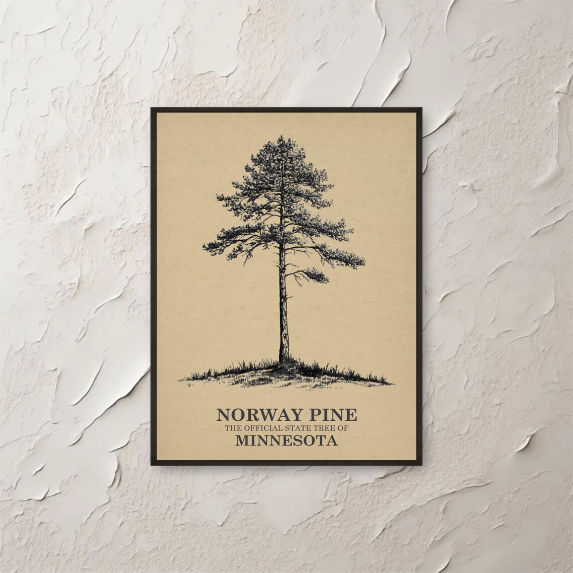 Norway Pine Wall Art Minnesota State Tree Print Nature Home Decor Botanical Illustration Minimalist