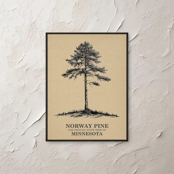 Norway Pine Wall Art Minnesota State Tree Print Nature Home Decor Botanical Illustration Minimalist