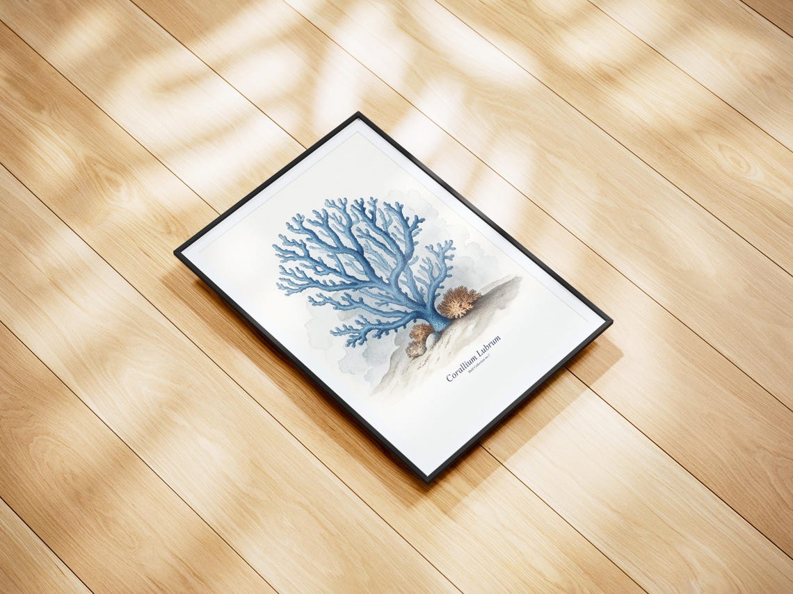 Watercolor Seashell Art Print, Coastal Antique Sketch - Image 2