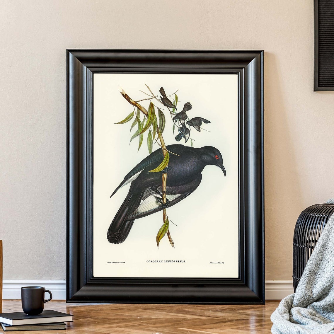 White Winged Chough John Gould Vintage Australian Bird Poster - Image 3