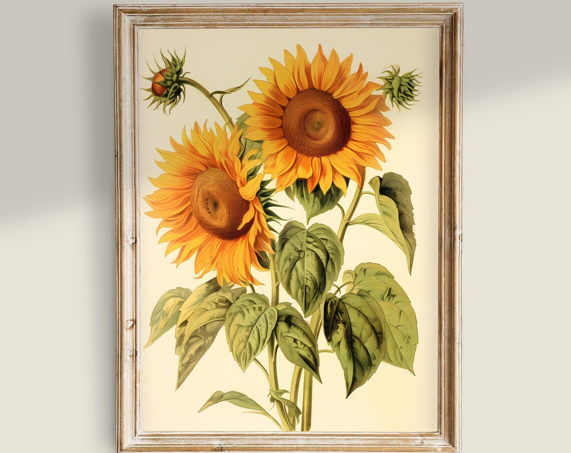 Vintage Sunflowers Art Print, Farmhouse Decor