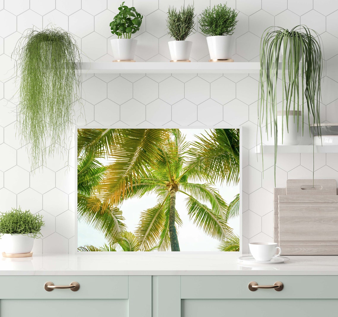 Sunlit Palm Tree Canopy From Below Tropical Fronds Photo Poster - Image 3