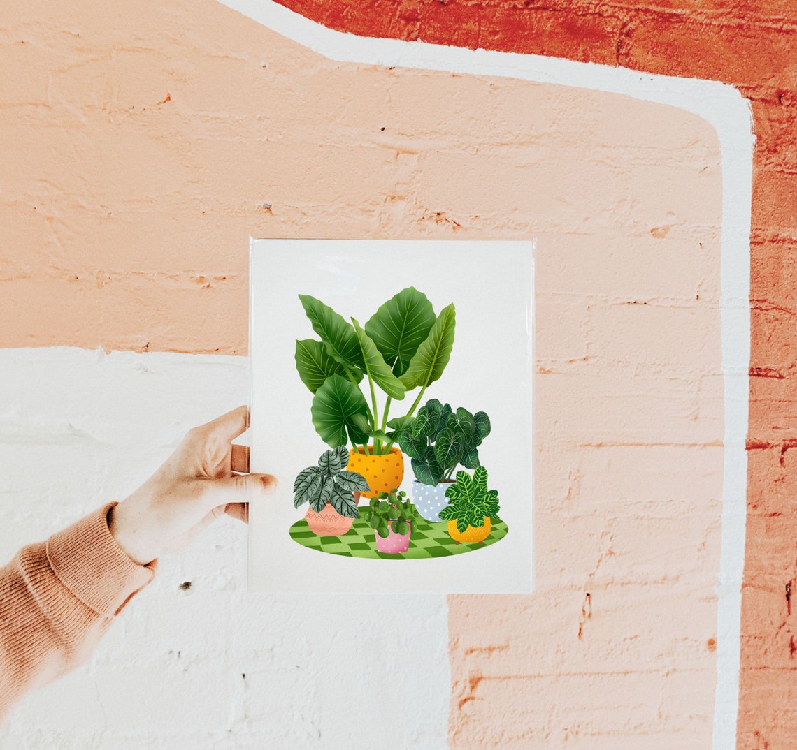 Colorful Potted Houseplants On Green Checkered Rug Illustration Poster