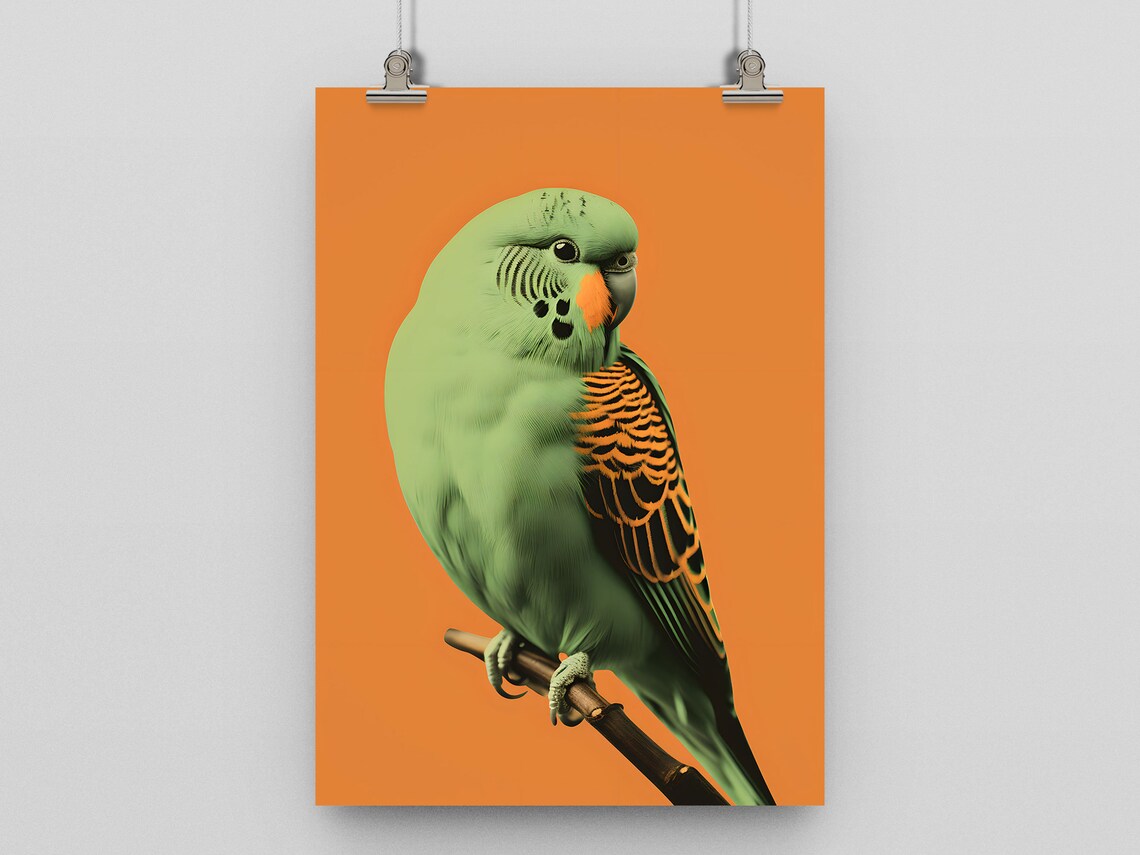Budgie Modern Minimal Art Print, British Birds
