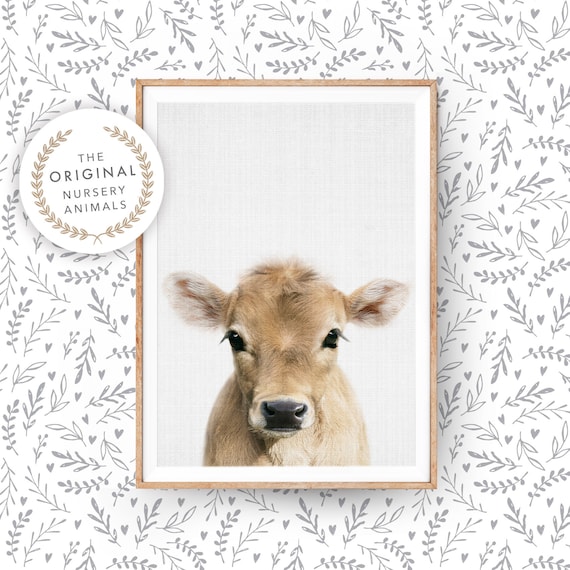 Baby Cow Farmhouse Nursery Animal Art Print
