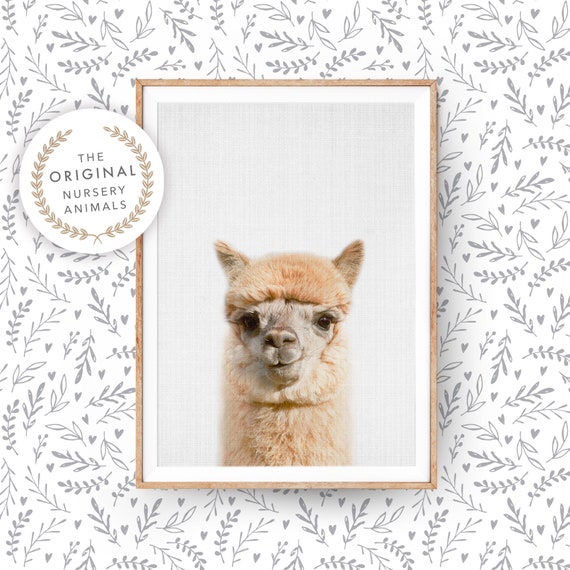 Alpaca Nursery Print Farm Animal Wall Art