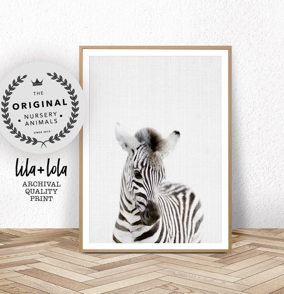 Baby Zebra Print Safari Nursery Wall Art