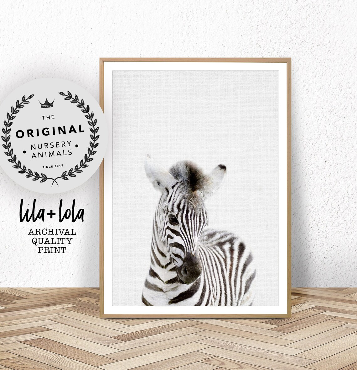 Baby Zebra Foal Safari Nursery Animal Portrait Cute Photo Print