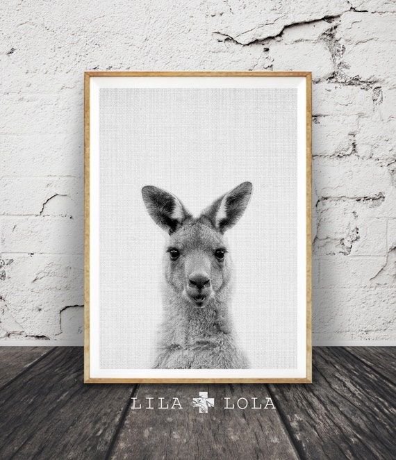 Kangaroo Portrait Print Australian Animal Nursery Decor
