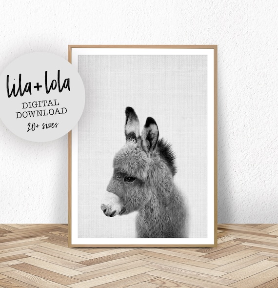 Baby Donkey Nursery Animal Wall Art Print