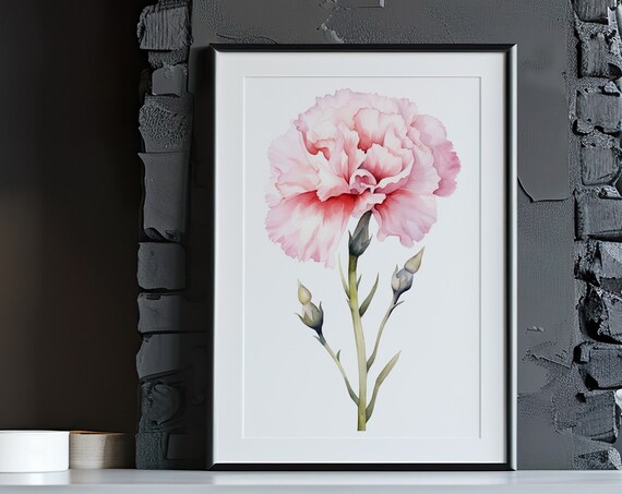 Pink Carnation Watercolor Full Bloom with Buds Delicate Floral Art Poster