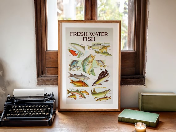 Fresh Water Fishing Retro Fish Poster, Gift For Dad