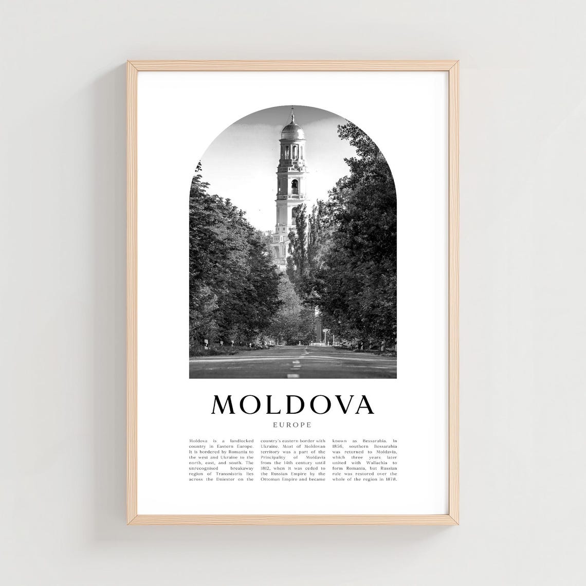 Moldova Europe Domed Cathedral Aerial Black White Photo Poster