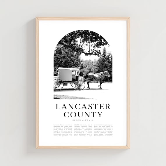 Lancaster County Pennsylvania Amish Buggy Black White Photo Poster