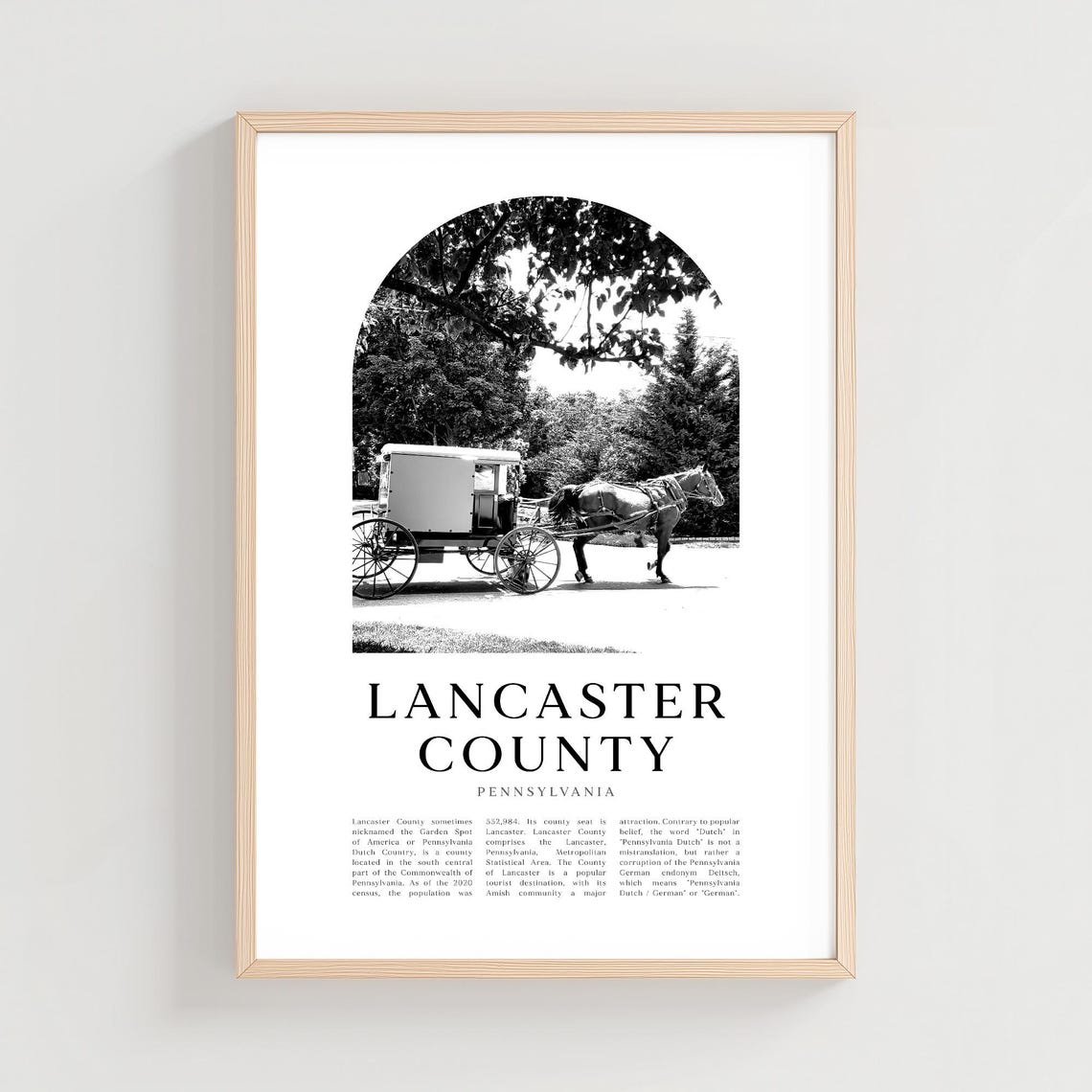 Lancaster County Pennsylvania Amish Buggy Black White Photo Poster