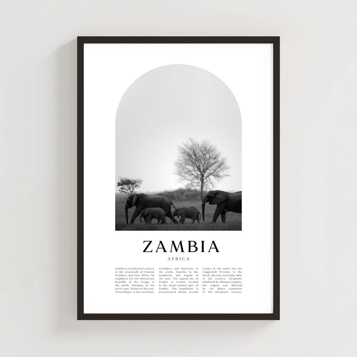Zambia Africa Black And White Elephant Herd Savanna Photo Poster