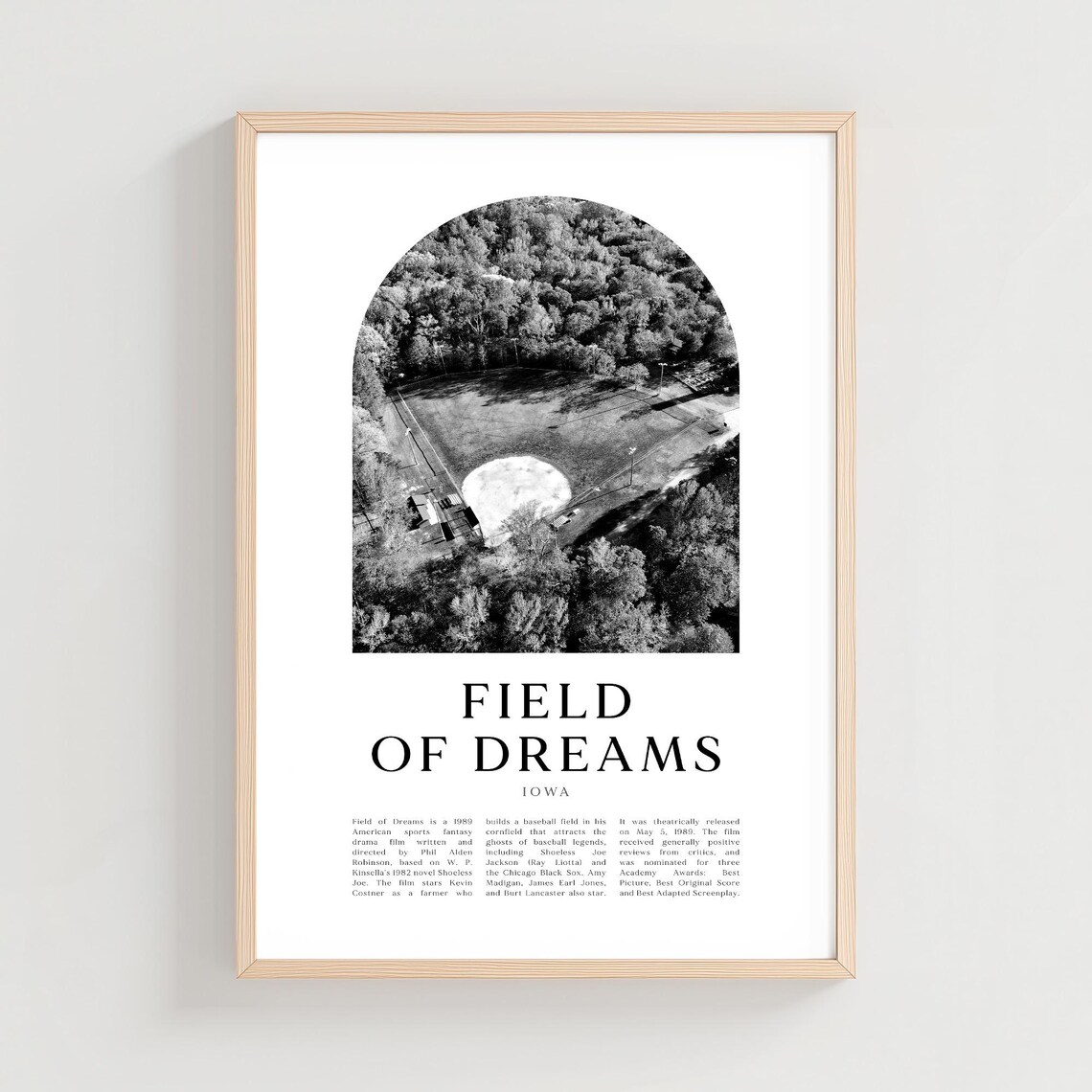 Field of Dreams Iowa Baseball Diamond Aerial Black White Photo Poster