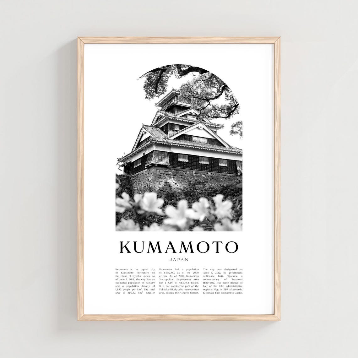 Kumamoto Japan Castle Cherry Blossoms Black White Art Poster