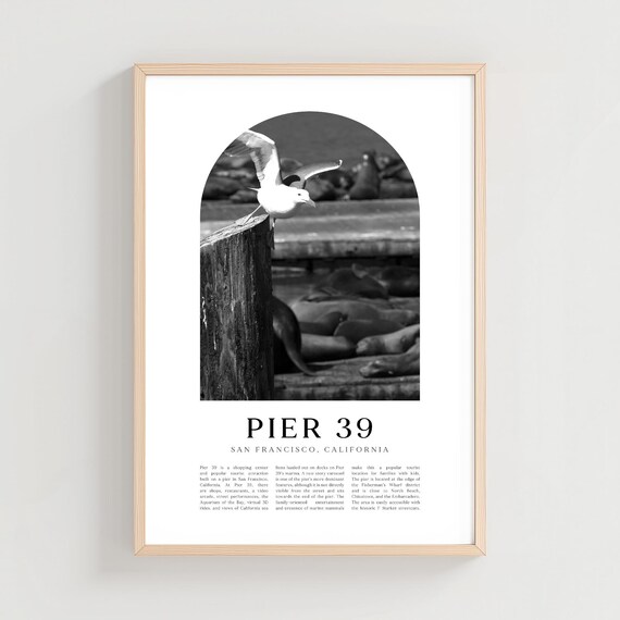 Pier 39 San Francisco Seagull and Sea Lions Black and White Poster
