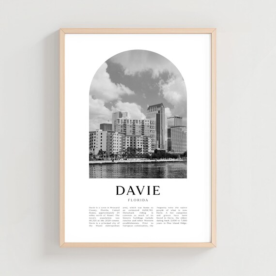 Davie Florida Waterfront Skyline Reflection Monochrome Photo Poster