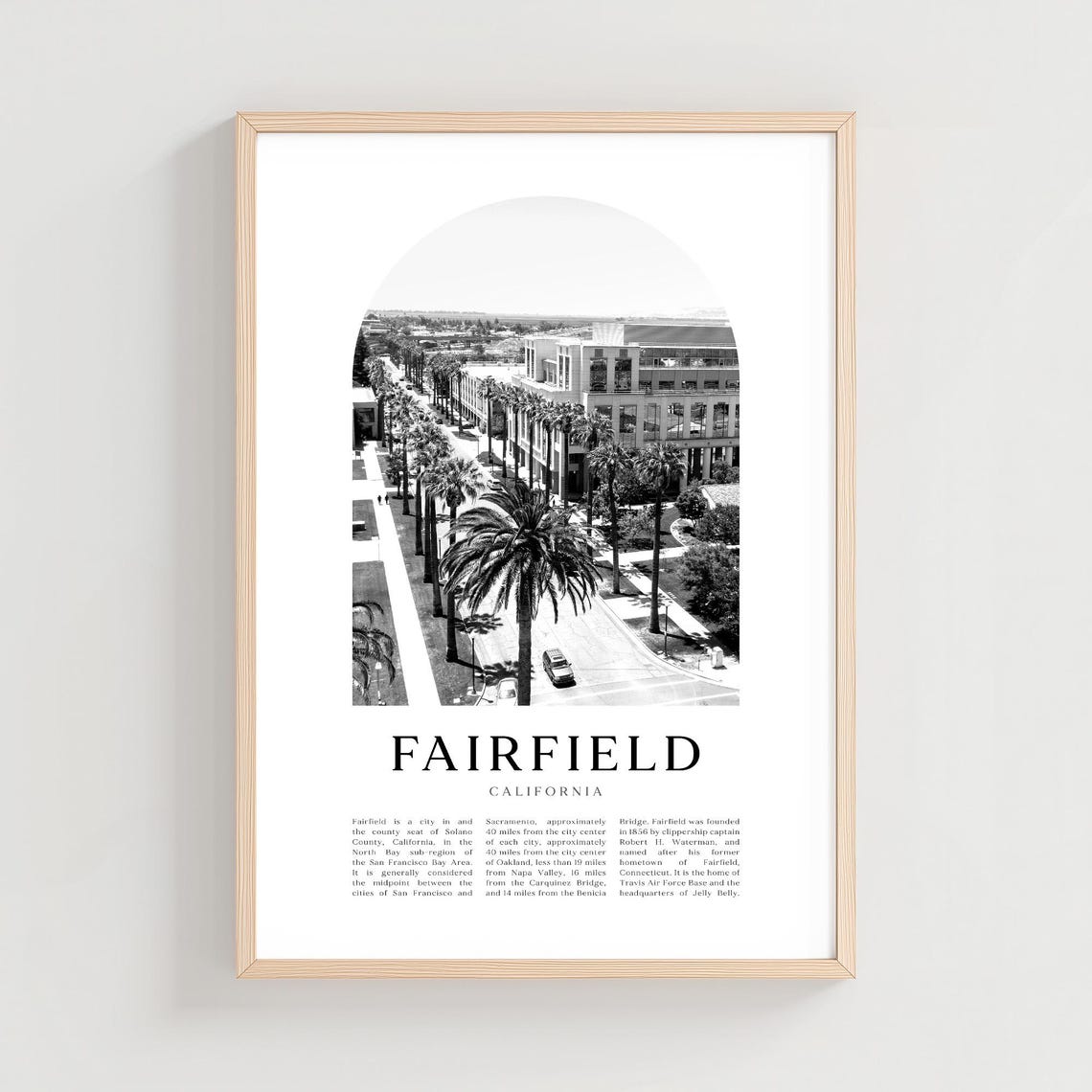 Fairfield California Palm Lined Street Black and White Photo Poster