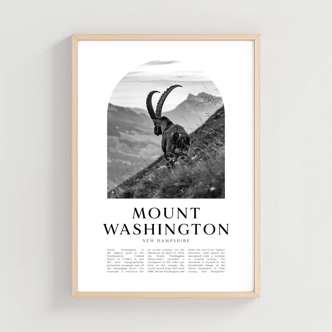 Mount Washington New Hampshire Alpine Goat Black White Art Poster