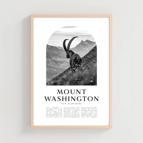 Mount Washington New Hampshire Alpine Goat Black White Art Poster
