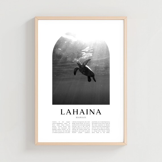 Lahaina Hawaii Sea Turtle Underwater Black White Photo Print