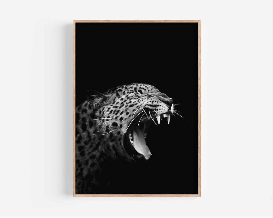 Roaring Leopard Black and White Wildlife Portrait Photography Print