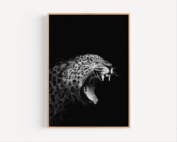 Leopard Roar Print Black And White Animal Wall Art