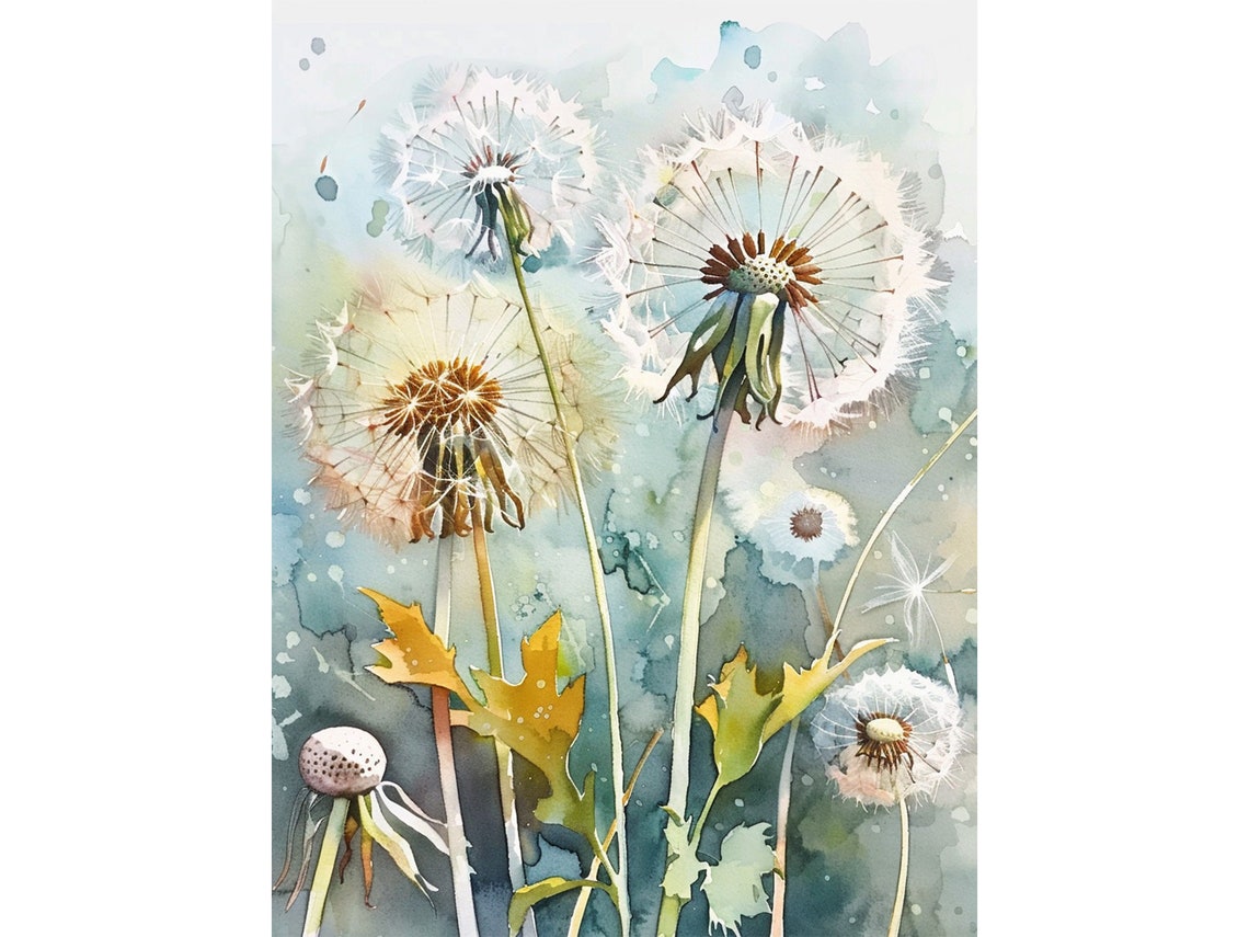 Dandelion Seeds Watercolor Wildflowers Airy Botanical Farmhouse Print
