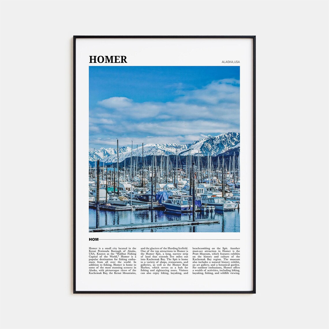 Homer Alaska USA Sport Fishing Harbor Snowy Mountains View Poster