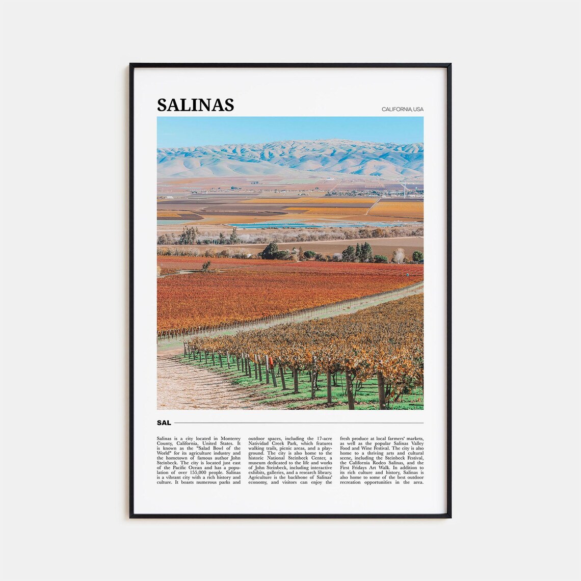 Salinas Travel Poster, California USA Art Print