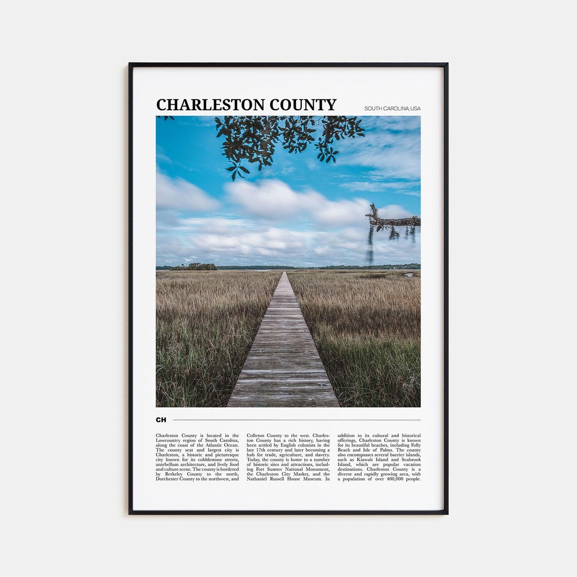Charleston County South Carolina Marsh Boardwalk Nature Travel Poster