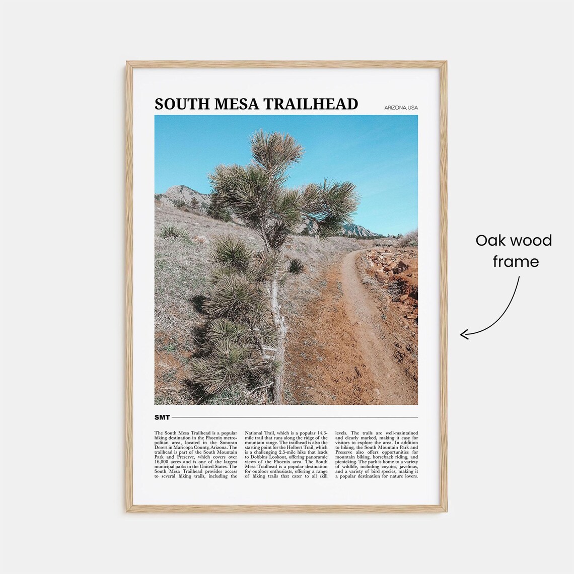 South Mesa Trailhead Arizona Sonoran Desert Hiking Trail Travel Poster - Image 3