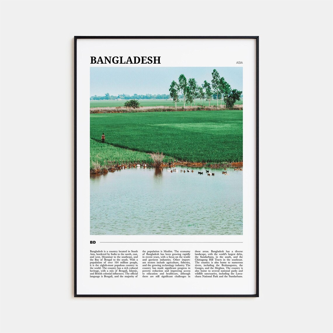 Bangladesh Asia Green Rice Fields Pond Countryside Travel Poster