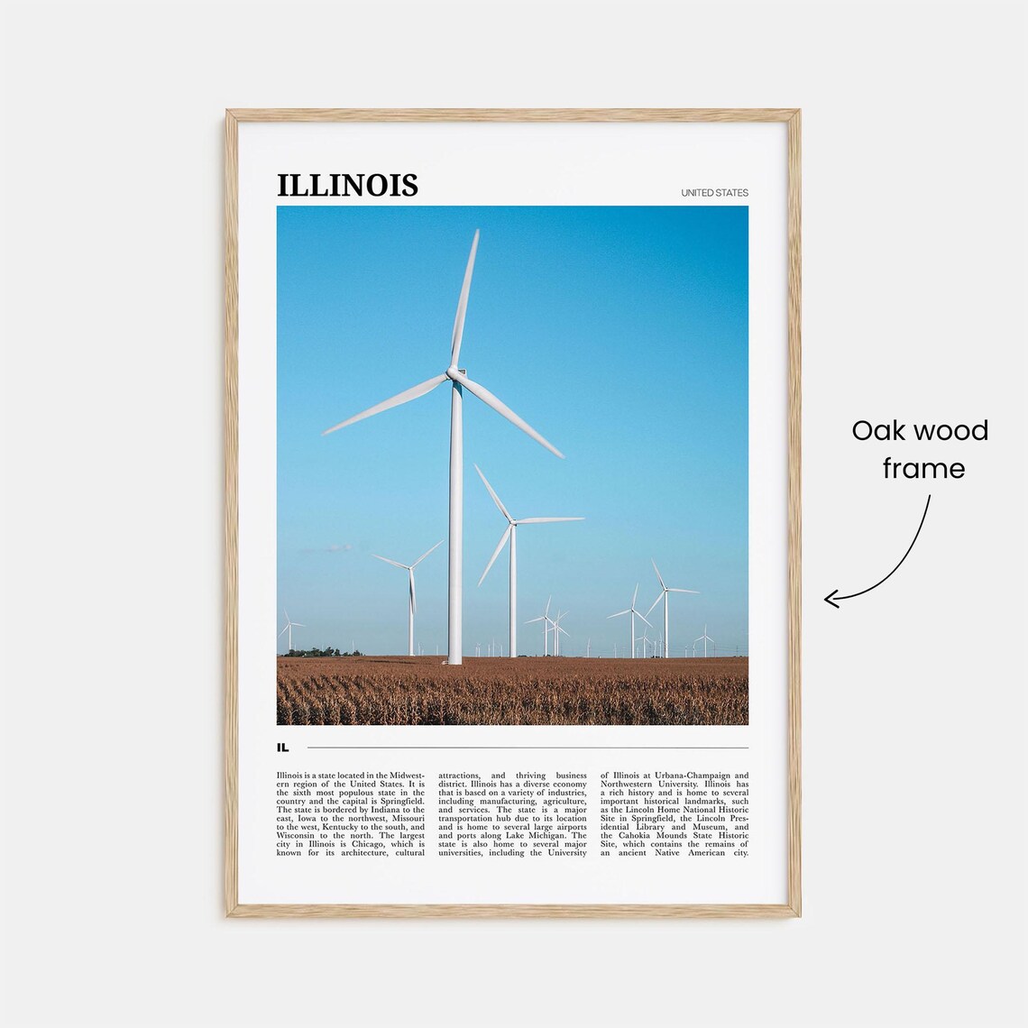 Illinois Travel Poster, USA Wall Art Print - Image 3
