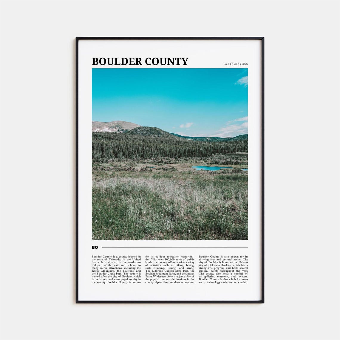 Boulder County Colorado Mountain Meadow Wildflower View Poster