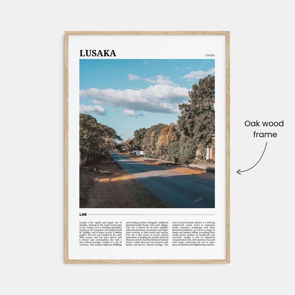 Lusaka Zambia Tree Lined Avenue Scenic Street City Travel Poster - Image 3