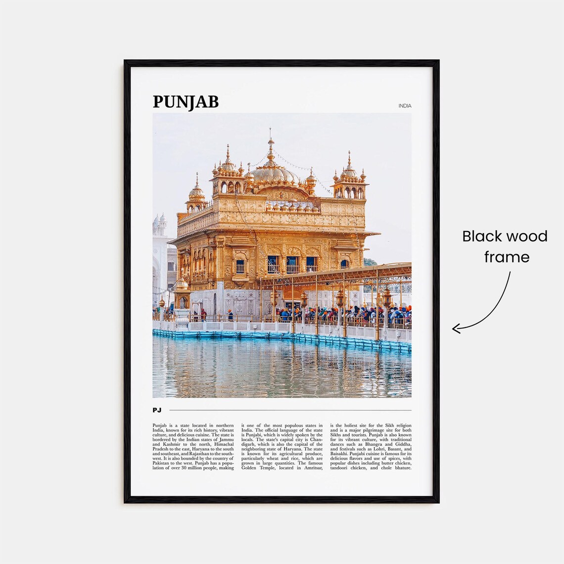 Punjab Travel Poster, India Travel Poster Art - Image 2